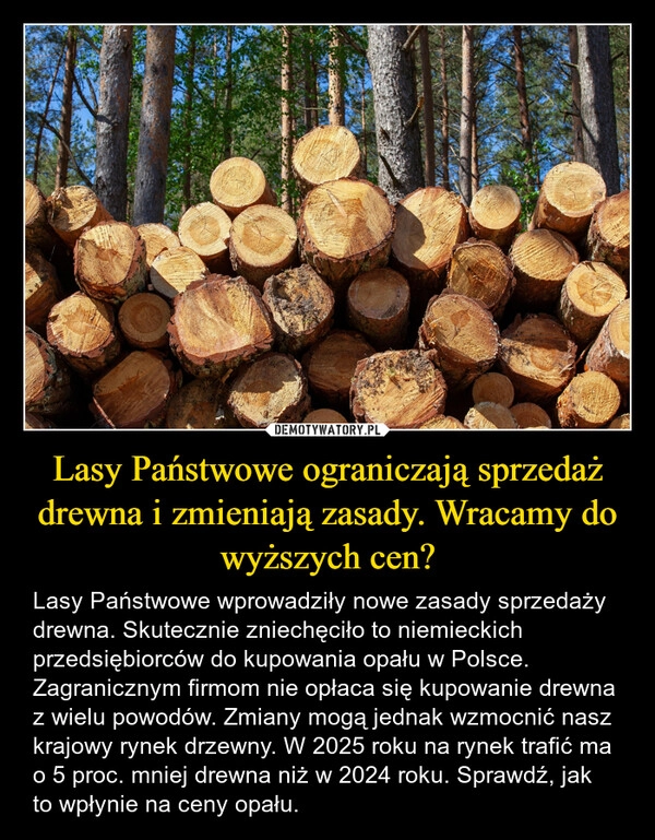 
    Lasy Państwowe ograniczają sprzedaż drewna i zmieniają zasady. Wracamy do wyższych cen?