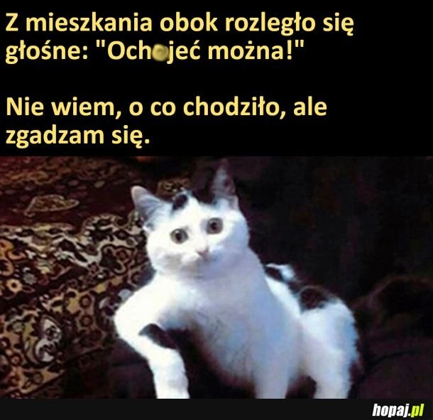 
    Zgadzam się