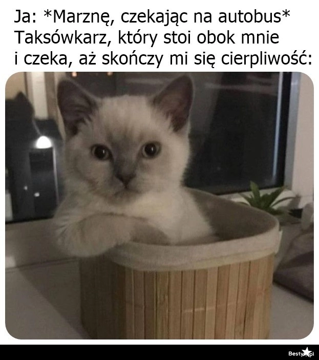 
    Zaraz wymięknie 