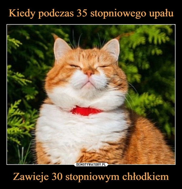 
    Kiedy podczas 35 stopniowego upału Zawieje 30 stopniowym chłodkiem