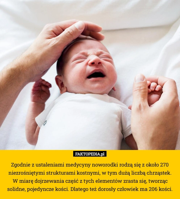 
    Zgodnie z ustaleniami medycyny noworodki rodzą się z około 270 niezrośniętymi
