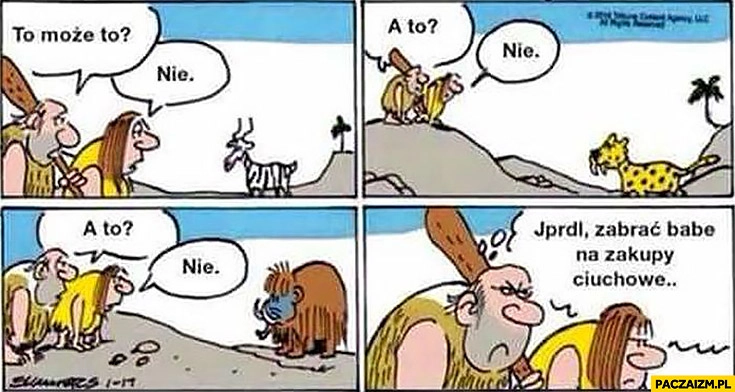 
    To może to? Nie. A to? Nie. Jprdl zabrać babę na zakupy ciuchowe jaskiniowcy prehistoria