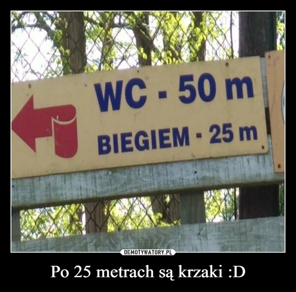 
    Po 25 metrach są krzaki :D