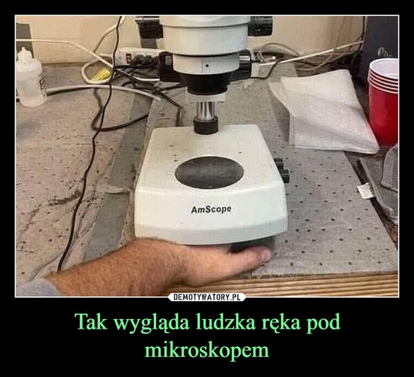 
    Tak wygląda ludzka ręka pod mikroskopem
