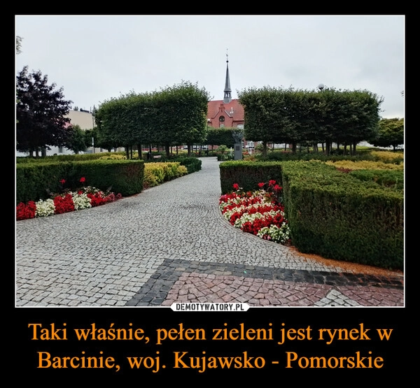 
    Taki właśnie, pełen zieleni jest rynek w Barcinie, woj. Kujawsko - Pomorskie