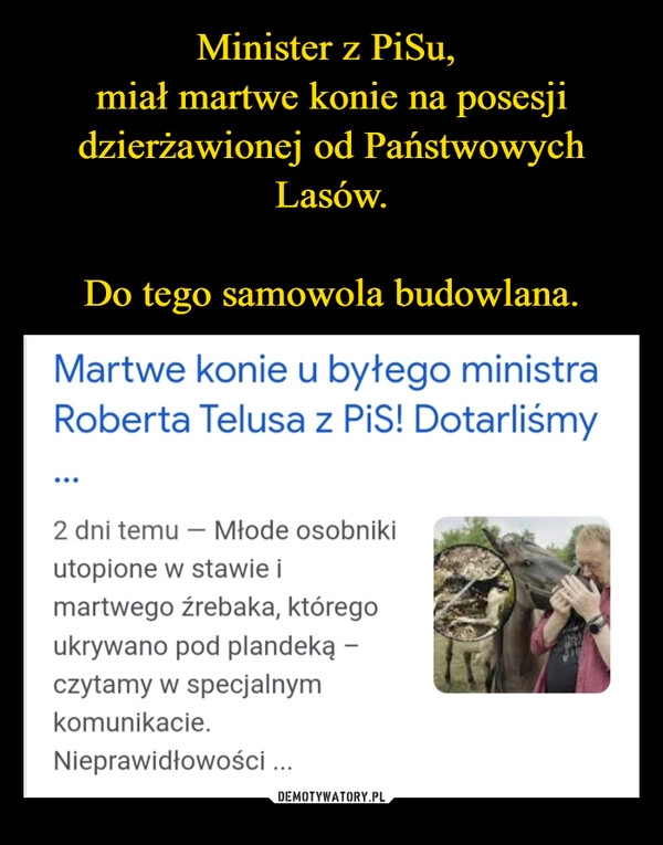 
    Minister z PiSu, 
miał martwe konie na posesji dzierżawionej od Państwowych Lasów.

Do tego samowola budowlana.