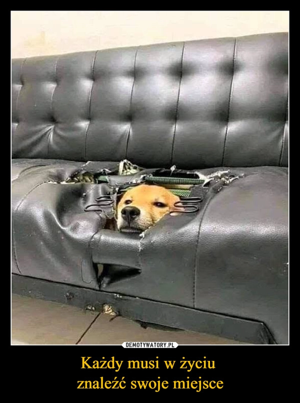 
    Każdy musi w życiu 
znaleźć swoje miejsce