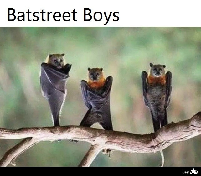 
    Batstreet Boys 