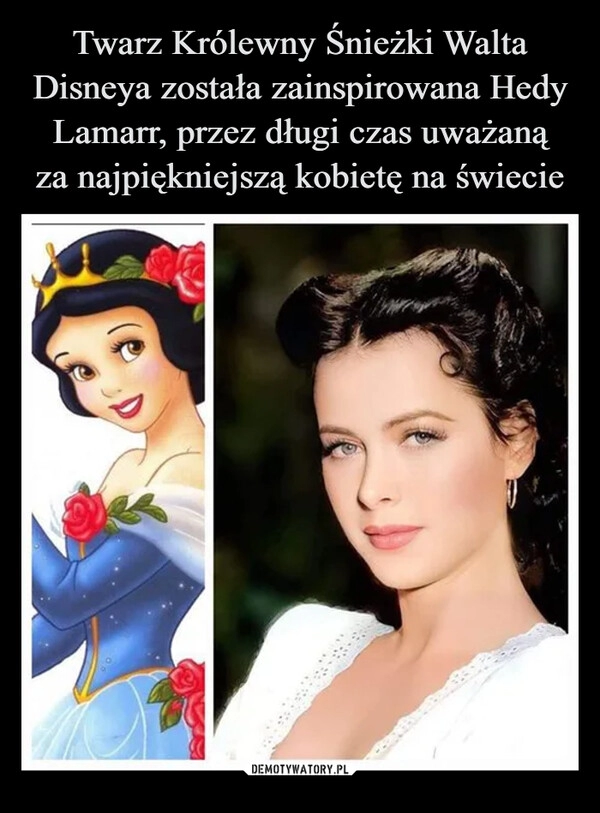 
    Twarz Królewny Śnieżki Walta Disneya została zainspirowana Hedy Lamarr, przez długi czas uważaną
za najpiękniejszą kobietę na świecie