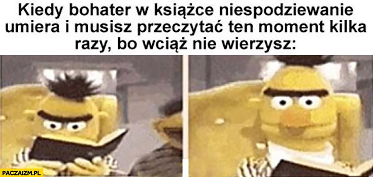 
    Kiedy bohater w książce niespodziewanie umiera i musisz przeczytać ten moment kilka razy bo wciąż nie wierzysz Bert