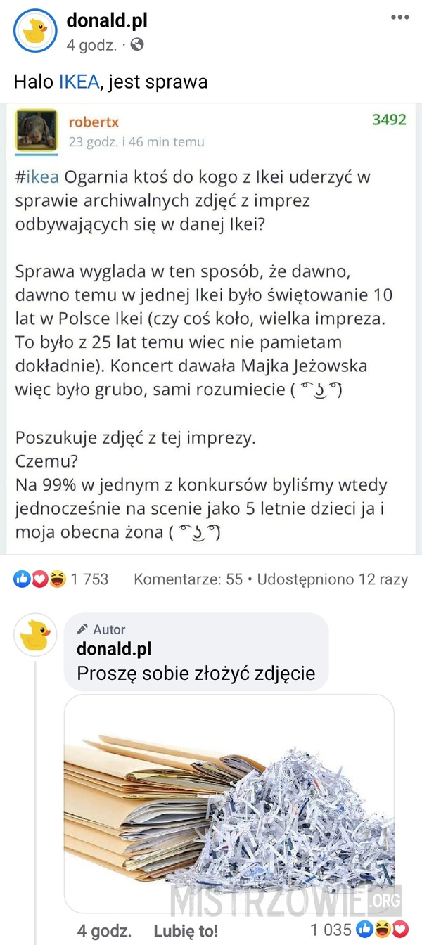 
    Zdjęcie