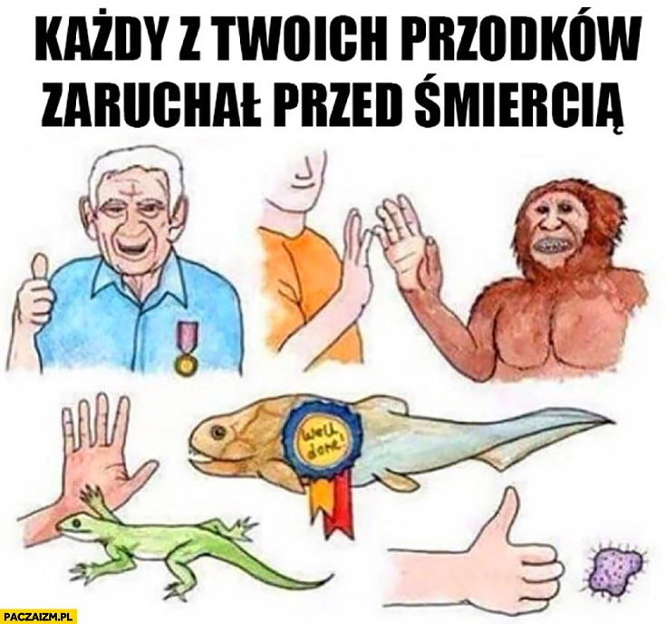 
    Każdy z Twoich przodków zaruchał przed śmiercią