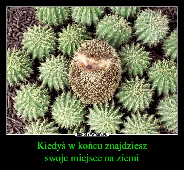 
    Kiedyś w końcu znajdziesz
swoje miejsce na ziemi