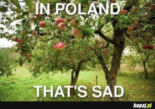 
    Sucharek językowo-sadowniczy