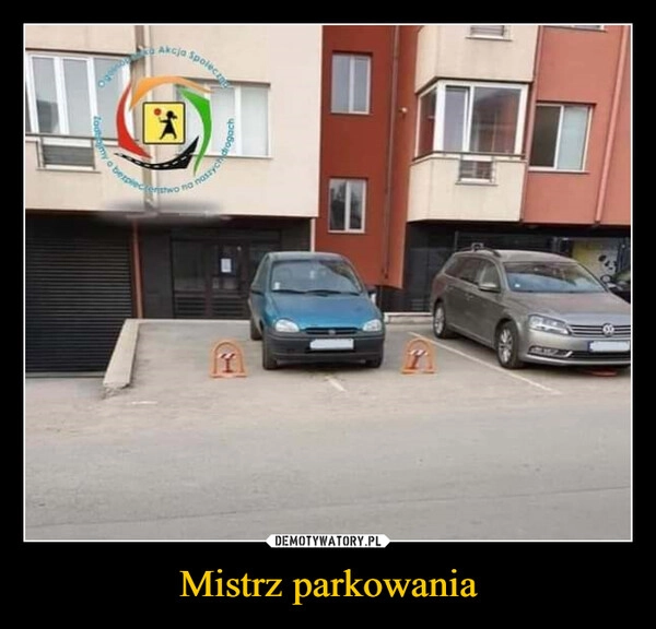 
    Mistrz parkowania