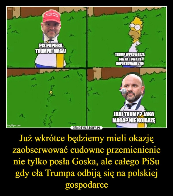 
    Już wkrótce będziemy mieli okazję zaobserwować cudowne przemienienie nie tylko posła Goska, ale całego PiSu gdy cła Trumpa odbiją się na polskiej gospodarce