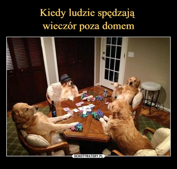 
    Kiedy ludzie spędzają 
wieczór poza domem