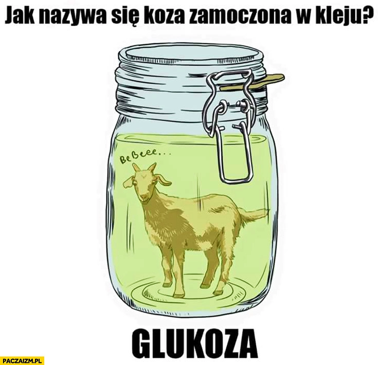 
    Jak się nazywa koza zamoczona w kleju? Glukoza