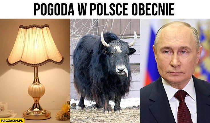 
    Pogoda w Polsce lampa jak putin