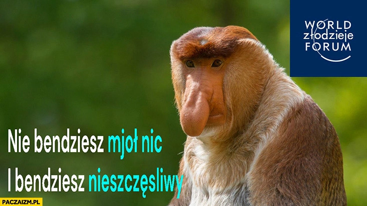 
    Nie będziesz miał nic i będziesz nieszczęśliwy world złodzieje forum polak nosacz
