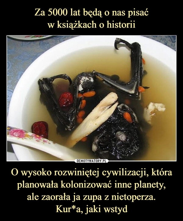 
    Za 5000 lat będą o nas pisać
w książkach o historii O wysoko rozwiniętej cywilizacji, która planowała kolonizować inne planety,
ale zaorała ja zupa z nietoperza.
Kur*a, jaki wstyd