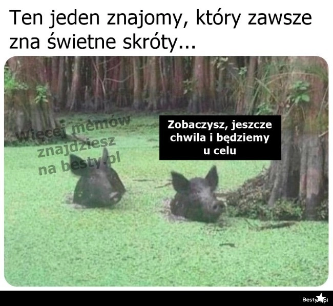 
    Znajomy od skrótów 