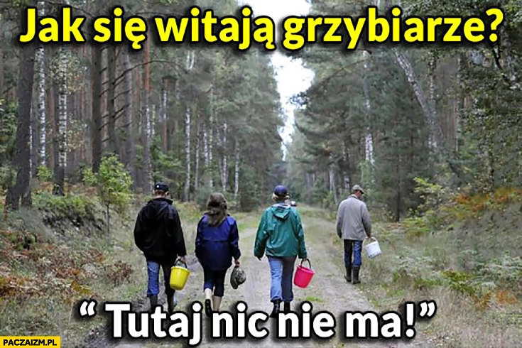 Jak się witają grzybiarze? Tutaj nic nie ma