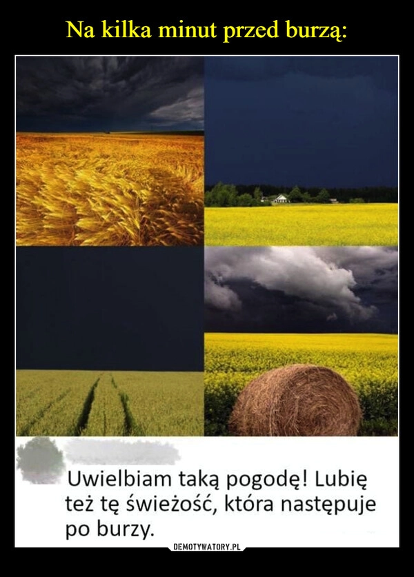 
    Na kilka minut przed burzą: