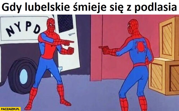 
    Gdy lubelskie śmieje się z Podlasia Spiderman pokazuje na siebie