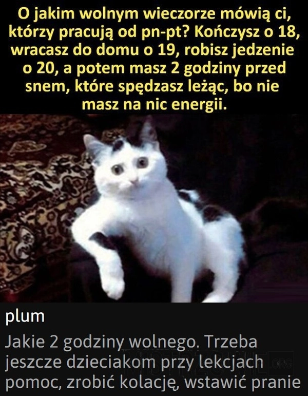 
    Wolny wieczór