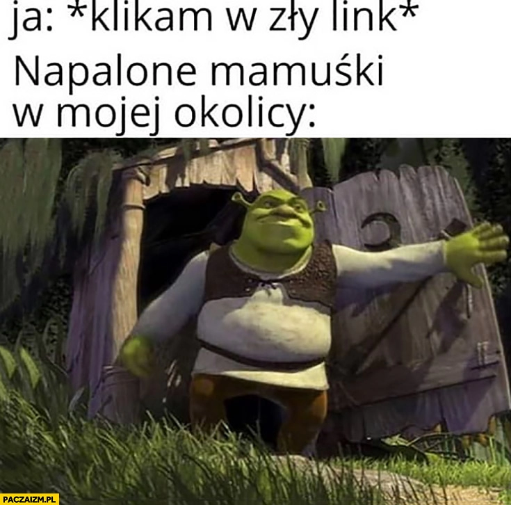 
    Shrek ja: klikam w zły link, napalone mamuśki w mojej okolicy pojawiają się