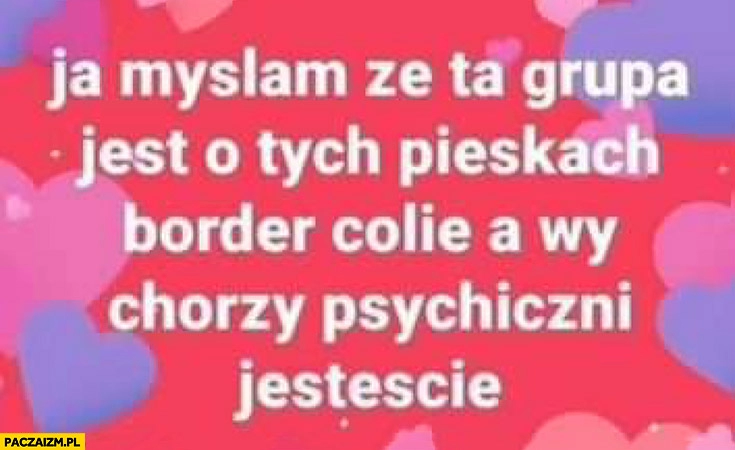 
    Ja myślałam, że ta grupa jest o tych pieskach border collie a wy chorzy psychicznie jesteście