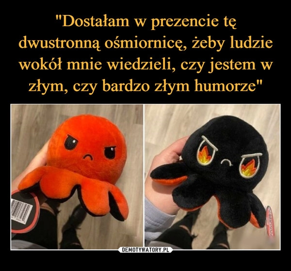 
    
"Dostałam w prezencie tę dwustronną ośmiornicę, żeby ludzie wokół mnie wiedzieli, czy jestem w złym, czy bardzo złym humorze" 