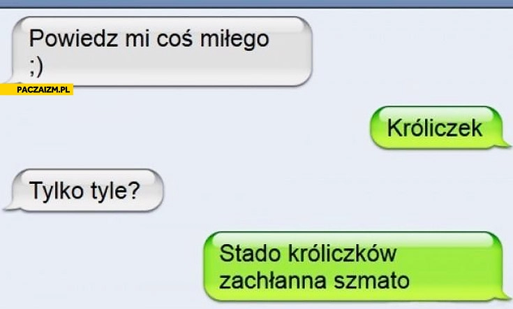 
    Stado króliczków zachłanna szmato