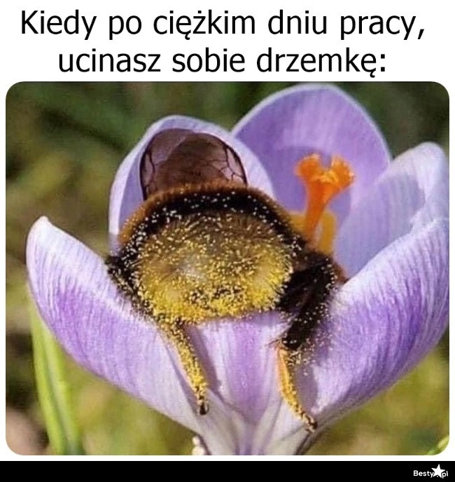 
    Czas na odpoczynek 