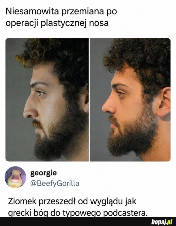
    Ale lipa