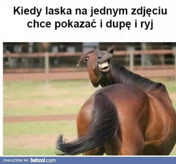 
    Laski takie są
