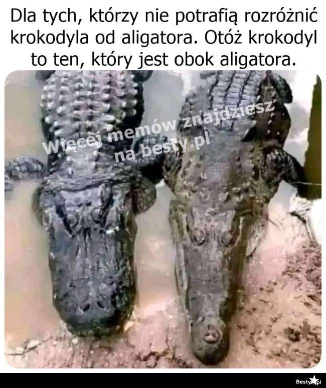 
    Sprawa wyjaśniona 