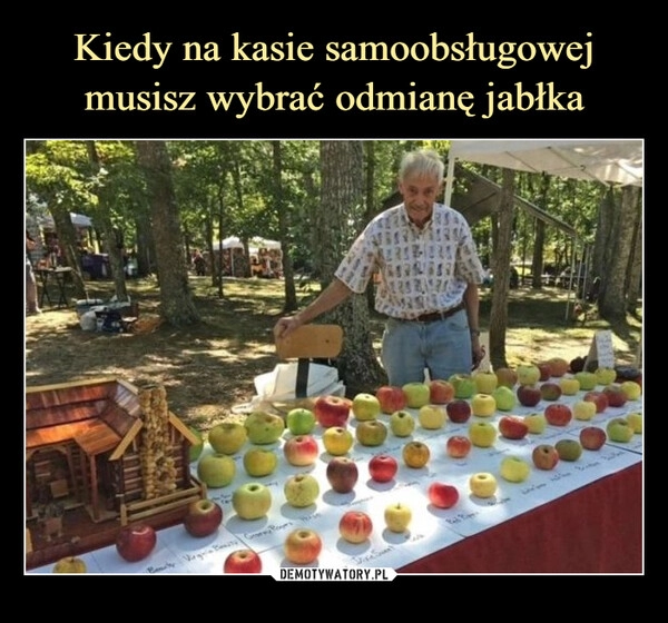 
    Kiedy na kasie samoobsługowej musisz wybrać odmianę jabłka