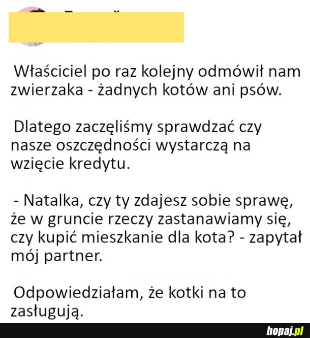 
    Kiedy bardzo chcesz mieć kota