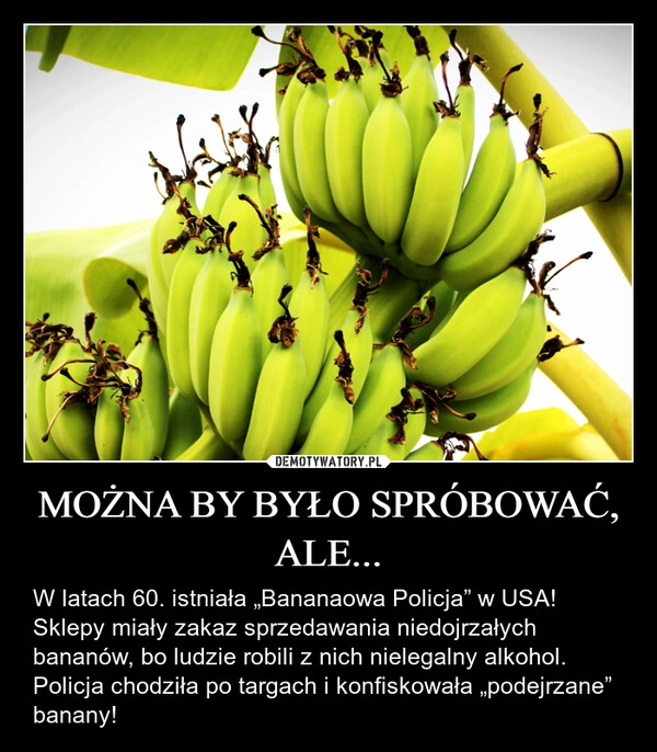 
    MOŻNA BY BYŁO SPRÓBOWAĆ, ALE...