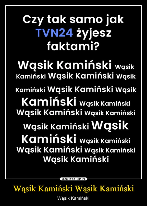 
    Wąsik Kamiński Wąsik Kamiński