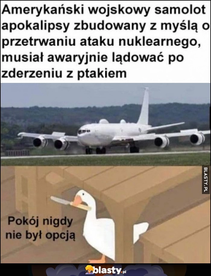 
    Amerykański samolot wojskowy apokalipsy mający przetrwać atak nuklearny musiał lądować awaryjnie po zderzeniu z ptakiem, pokój nigdy nie był opcją