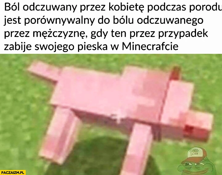 
    Ból odczuwany przez kobietę podczas porodu jest porównywalny do bólu odczuwalnego przez mężczyznę gdy ten przez przypadek zabije swojego pieska w Minecrafcie