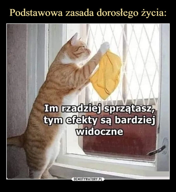 
    Podstawowa zasada dorosłego życia: