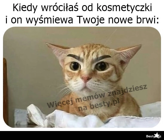 
    No bardzo śmieszne 