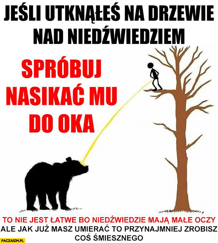 
    Jeśli utknąłeś na drzewie nad niedźwiedziem spróbuj nasikać mu do oka. To nie jest łatwe, bo niedźwiedzie mają małe oczy, ale jak już masz umierać przynajmniej zrobisz coś śmiesznego