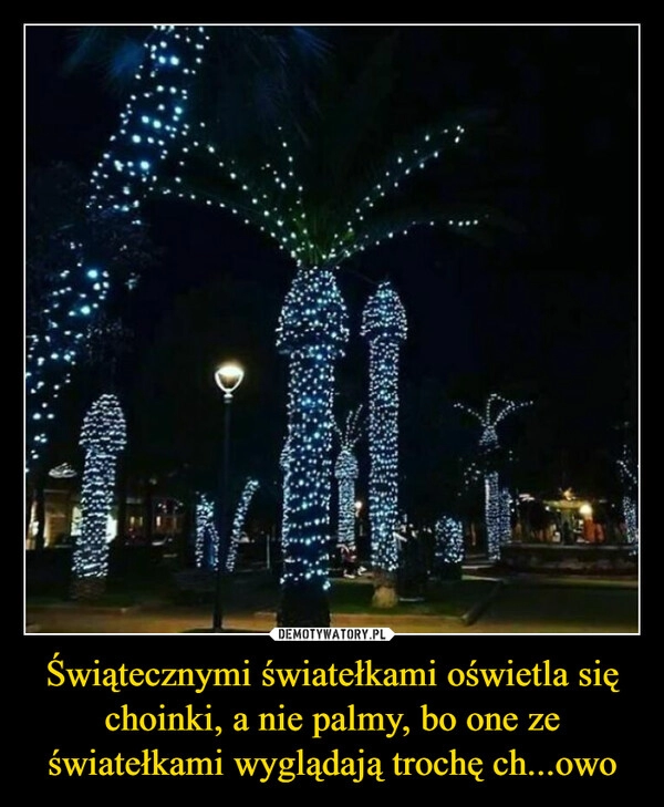 
    Świątecznymi światełkami oświetla się choinki, a nie palmy, bo one ze światełkami wyglądają trochę ch...owo 