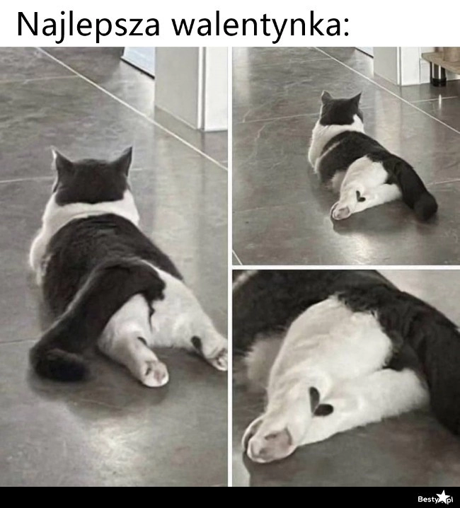 
    Walentynka 