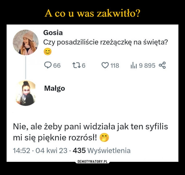 
    A co u was zakwitło?